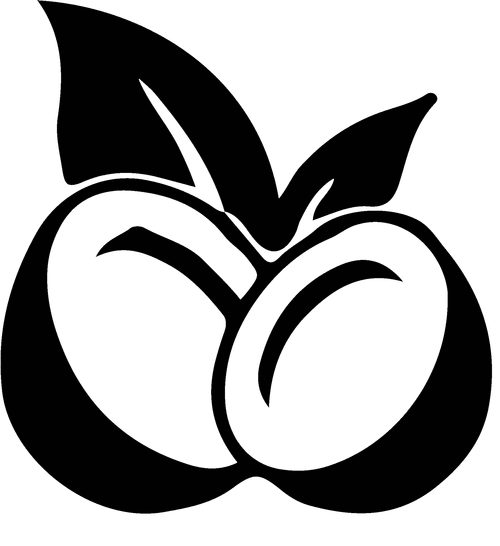 Coco AI on WhatsApp logo
